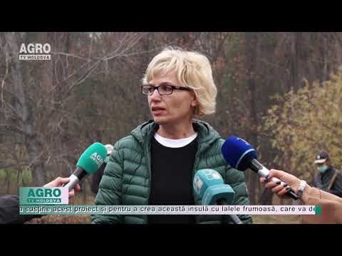 VIDEO/ La Grădina Botanică, va fi amenajată o insulă cu 40 000 de lalele