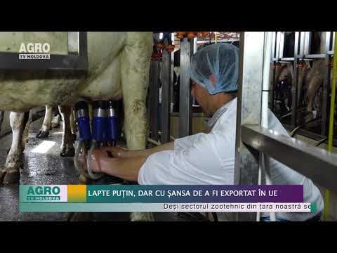 Lapte puțin, dar cu șansa de a fi exportat în UE