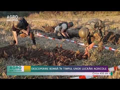 Descoperire BOMBĂ în timpul unor lucrări agricole