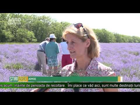 AGRO TV News - Retrospectiva Săptămânii 06 iulie 2019