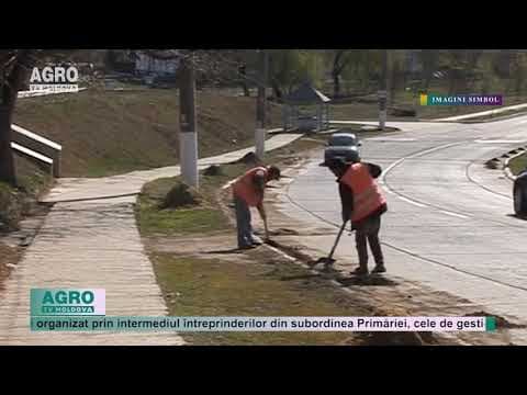 Începe marea curățenie generală