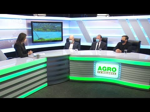 Actualitatea LA RAPORT - Irigarea: între „planuri mărețe” și o realitate „aridă”