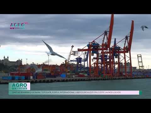 România ar putea achiziționa portul Giurgiulești, singurul port dunărean din țară