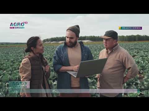 743 de ucraineni au fost angajați oficial în Moldova