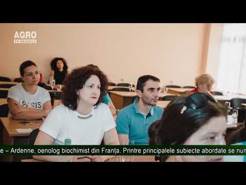 Vinuri spumante de calitate și bunele practici franceze