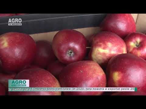 Rusia continuă să refuze fructele moldovenești