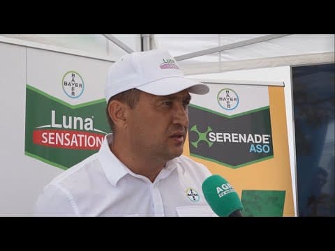 Bayer - companie care crește sectorul agricol în lume