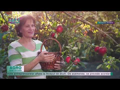 A fost lansat Programul de Susținere a Antreprenoriatului Feminin, finanțat de Guvern și UE