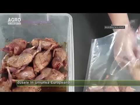 AGRO TV News – 29. 07. 2020