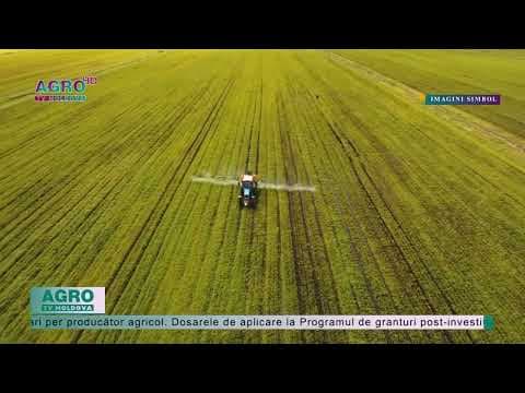 Atenție! Granturi pentru producătorii agricoli
