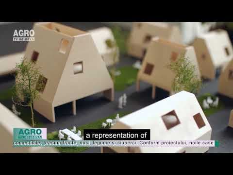 VIDEO/Orășel ecologic în mijlocul pădurii