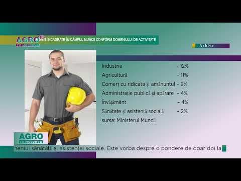 Peste 11 mii de persoane au fost angajate în câmpul muncii, în 2023