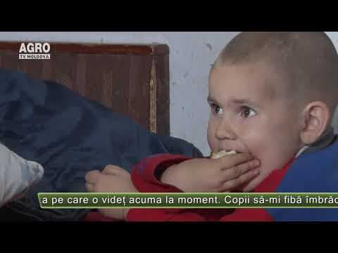 AGRO TV News - 11. 12. 2019