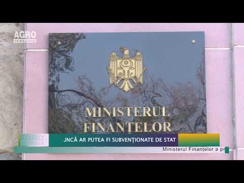 Locurile de muncă ar putea fi subvenționate de stat