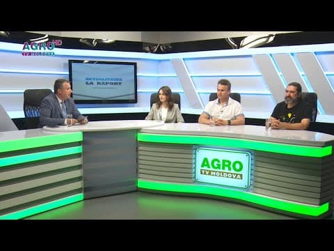 Produsele agricole ecologice și piața de desfacere