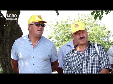 Baștina din 08.09.2019