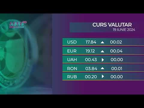 BNM: Cursul valutar 19 iunie, 2024