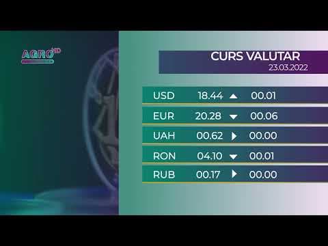BNM: Cursul valutar pentru miercuri, 23 martie