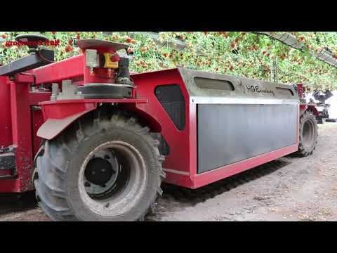 (VIDEO) AgriTech: Pulverizatorul autonom „se târăște” sub jgheaburi de căpșuni