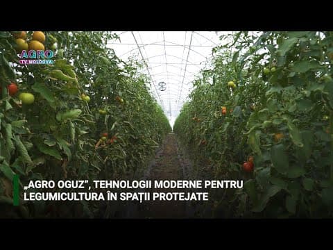 „AGRO OGUZ”, tehnologii moderne pentru legumicultura în spații protejate