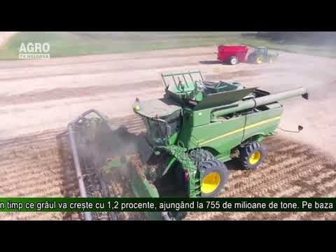 Previziuni slabe la producția de porumb