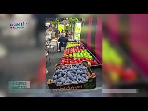 Fructele moldovenești, expuse la o expoziție din Spania / FOTO
