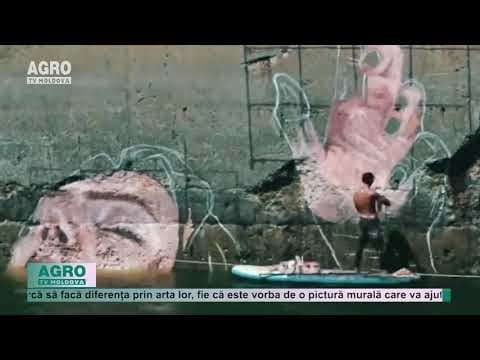 VIDEO/Natura, pânză pentru picturi ecologice