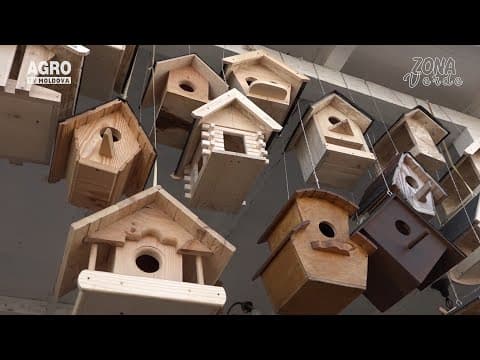 Zona Verde-Soluții pentru compostarea și reciclarea deșeurilor