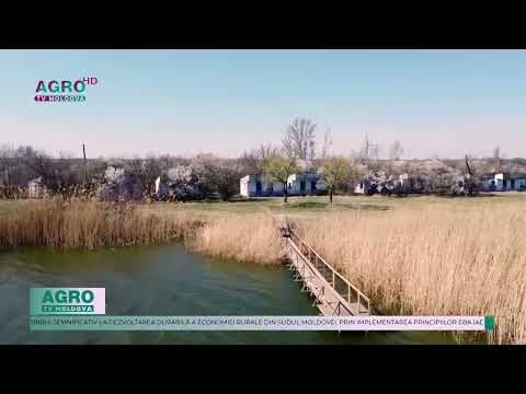 Proiectul „Adaptare la schimbările climatice” îmbunătățește reziliența rurale din sudul Moldovei