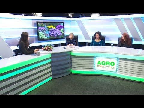Actualitatea LA RAPORT cu Radmila POPOVICI, Aurelia SALICOV și Lilia VRABIE