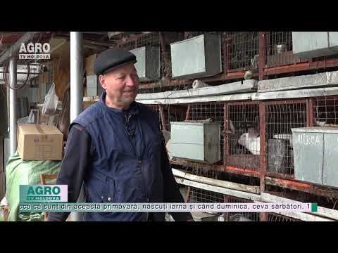 Își alungă bătrânețea, muncind. Istoria pensionarului singuratic cu o gospodărie cum rar mai găsim.