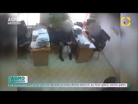 Cu pufușor pe botișor… pentru carne alterată