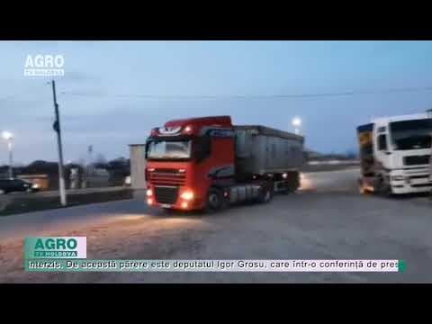 Grosu: Exportul grâului trebuie interzis de urgență