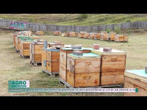 Cum a fost anul 2021 pentru sectorul agricol?