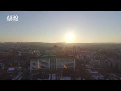 Temperaturi primăvăratice în plină iarnă