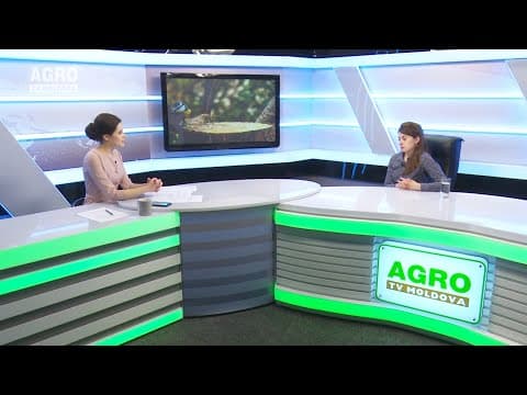 Actualitatea LA RAPORT – De ce dispar păsările din Moldova?