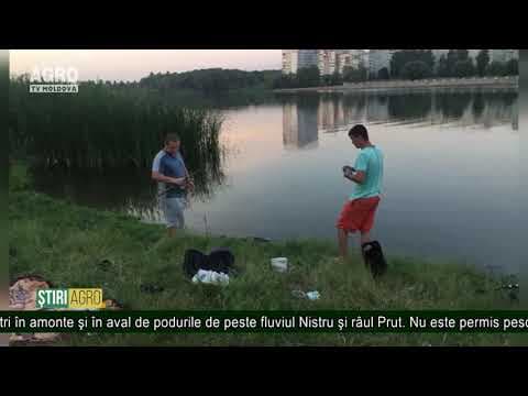 Undă verde la pescuit
