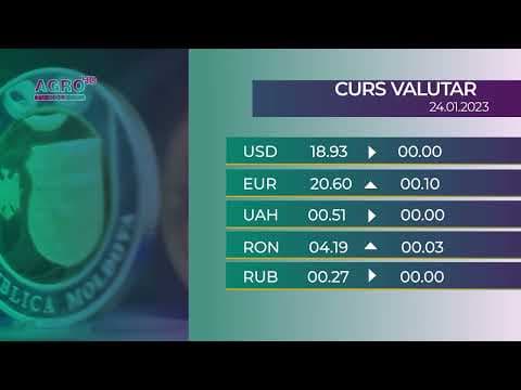BNM: Cursul valutar pentru marți, 24 ianuarie