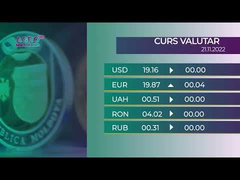 BNM: Cursul valutar pentru luni, 21 noiembrie