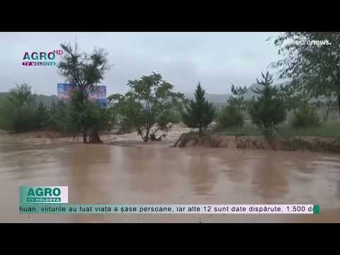 VIDEO / Fenomenele meteorologice extreme devin tot mai frecvente