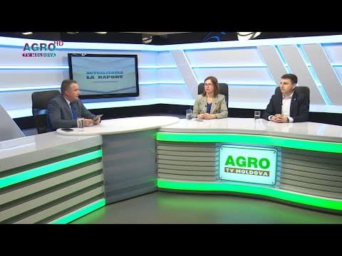 Vinul Moldovei. O legendă vie - povestea de succes continuă