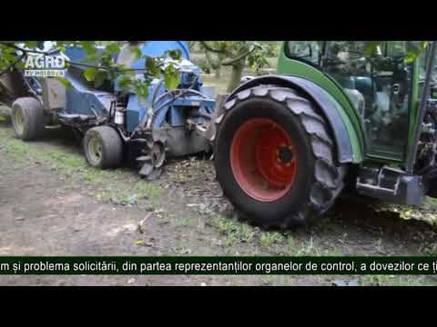 Producătorii de nuci s-au plâns Ministrului Agriculturii