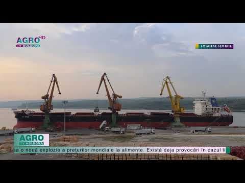 Prețul grâului a crescut cu peste 4 la sută