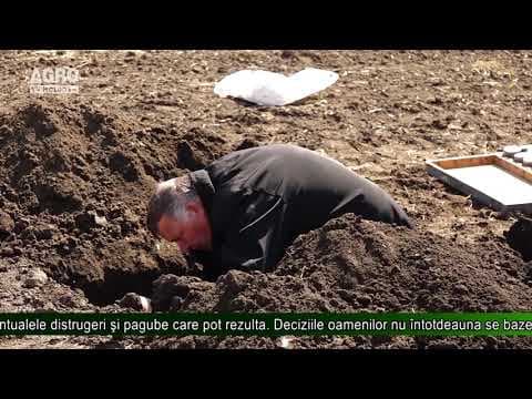 Schimbările climatice sunt inevitabile