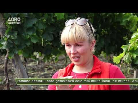 AGRO TV News – 24. 07. 2020
