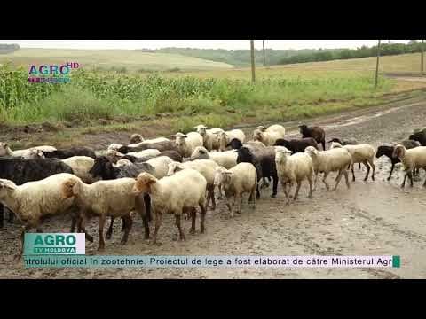 Legea zootehniei a fost modificată de Parlament