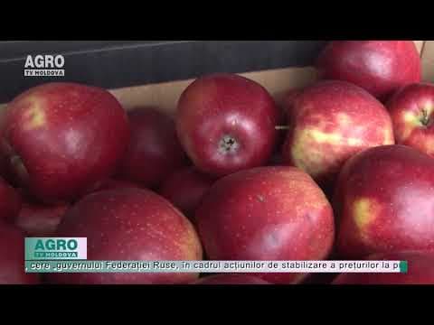 Produsele moldovenești ar putea reveni pe piața rusă