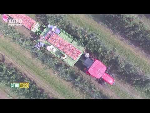 AGRO TV News - 13. 09. 2019