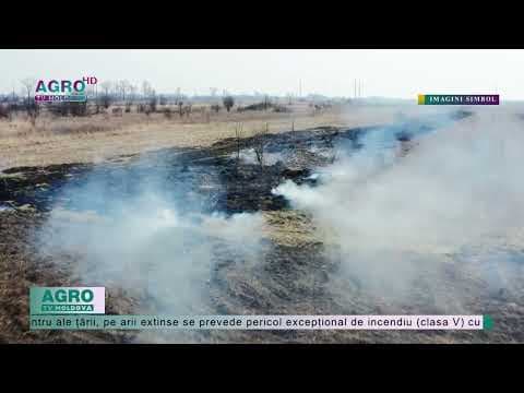 Atenție! COD GALBEN de incendii în Moldova