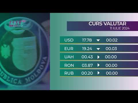 BNM: Curs valutar 11 iulie, 2024